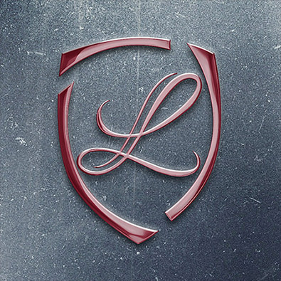 LIDIS – logo si website